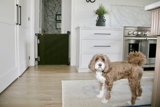Oil Waxed Canvas Pet Safety Gate – Durable, Waterproof, Vintage-Inspired