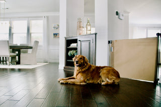 Oil Waxed Canvas Pet Safety Gate – Durable, Waterproof, Vintage-Inspired