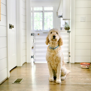 Crypton® Fabric Baby & Pet Safety Gate – Stylish, Stain-Resistant, PFAS-Free